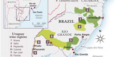 Karta över Uruguay vin
